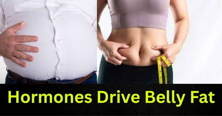Hormones Drive Belly Fat